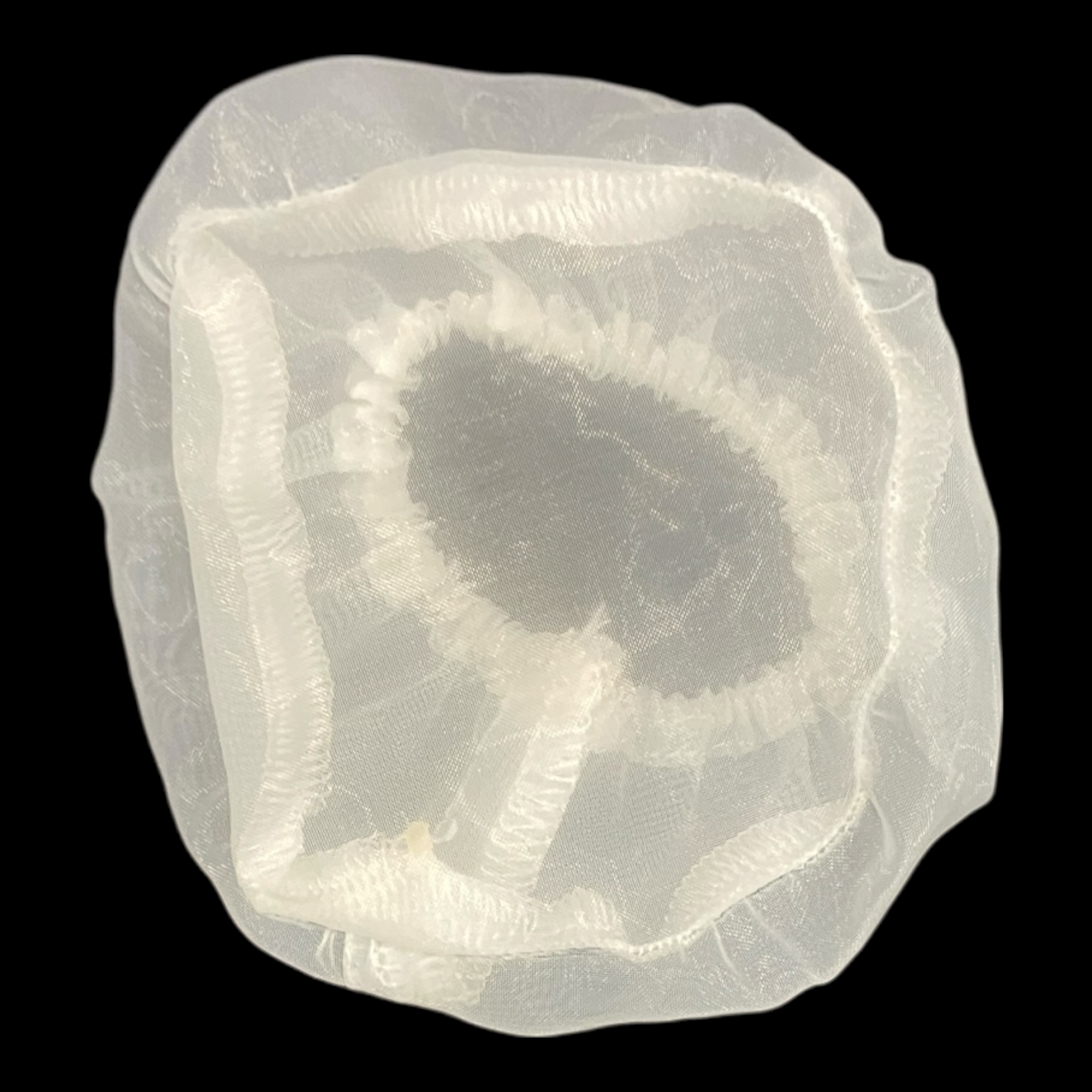 Sundance Suction Sock 1997-2003